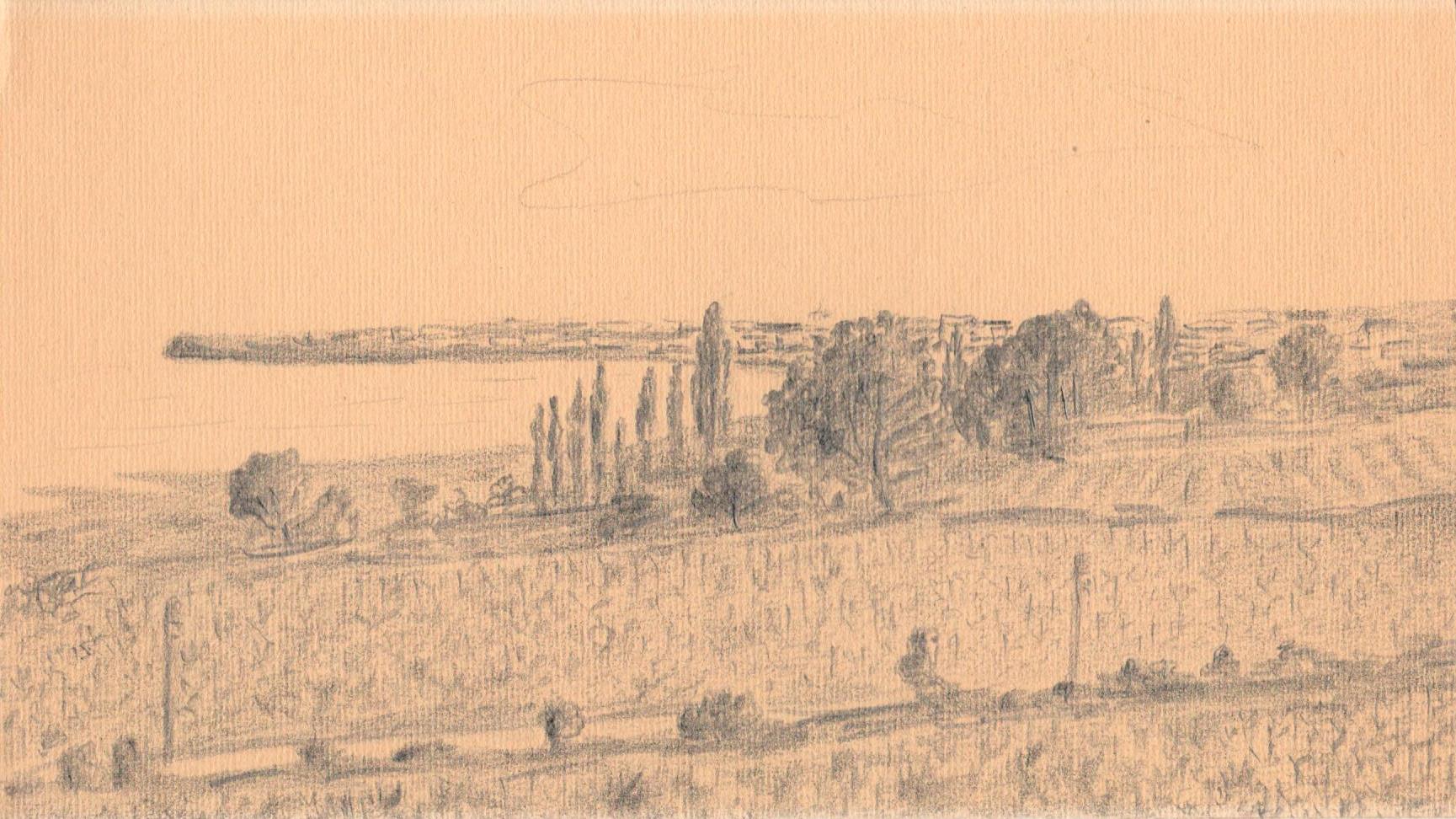 Vue sur les vignes et le Liman